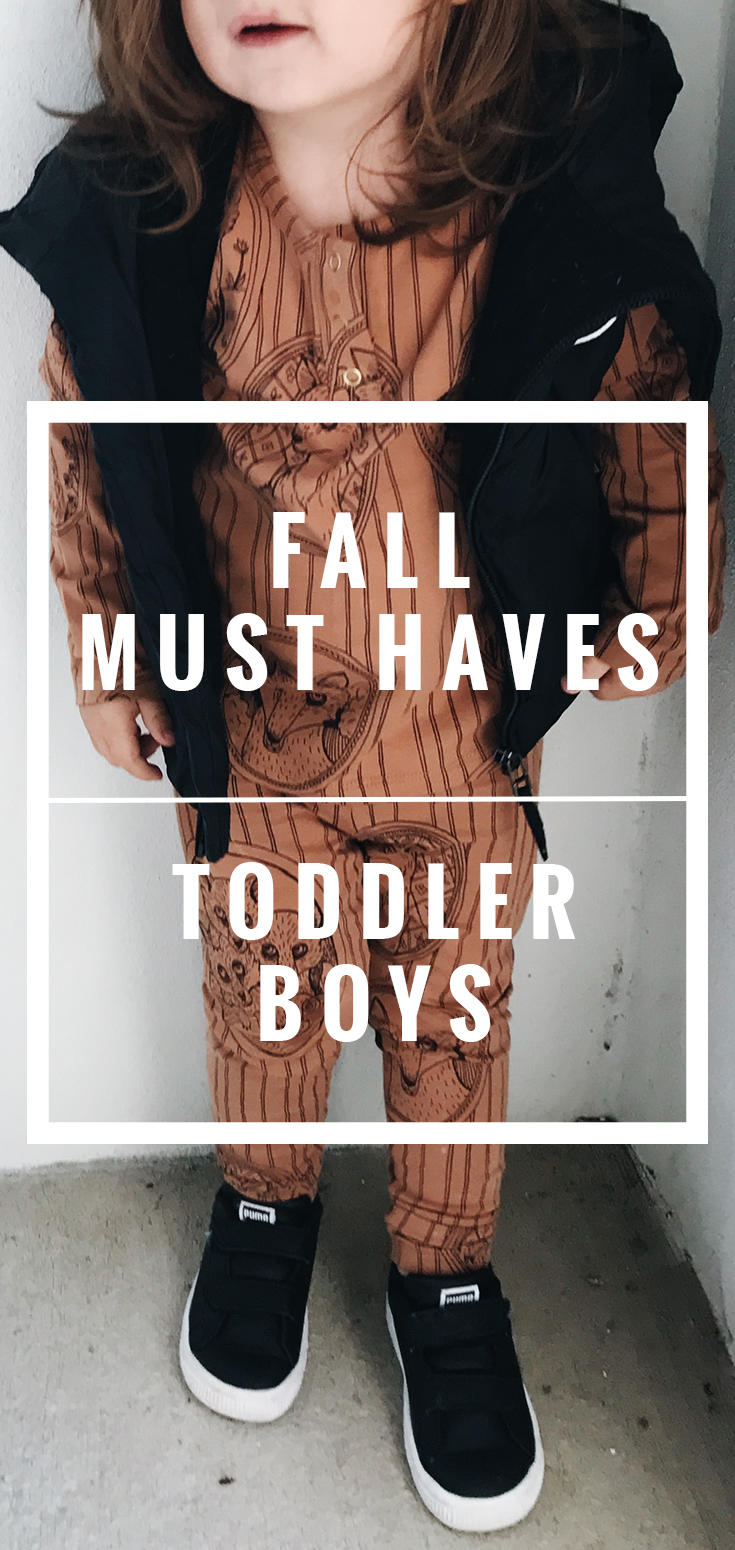 Fall toddler must haves for boys